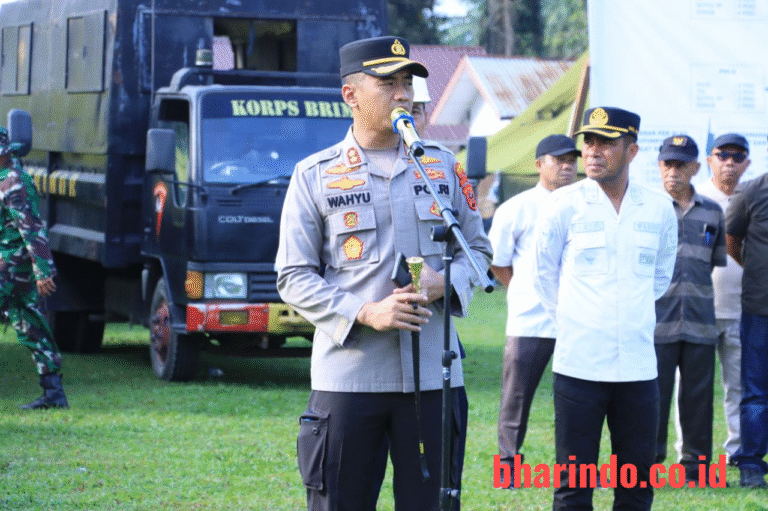 WhatsApp Image 2026-01-29 at 10.22.41