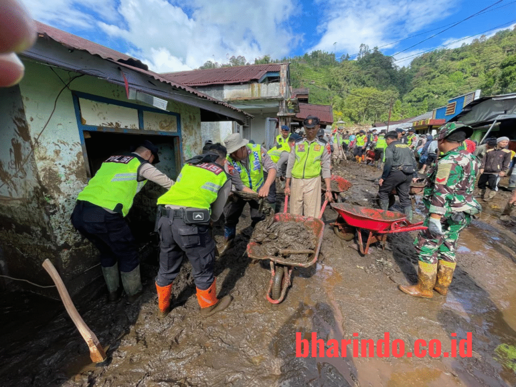 WhatsApp Image 2026-01-29 at 18.35.41