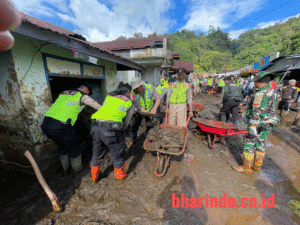 WhatsApp Image 2026-01-29 at 18.35.41