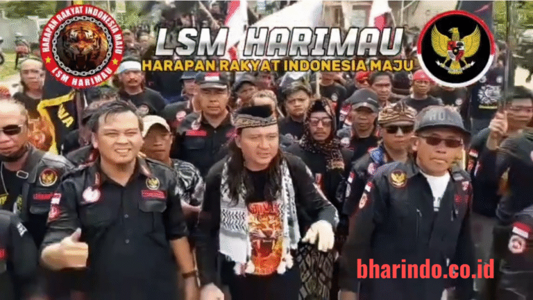 WhatsApp Image 2026-01-29 at 21.28.02