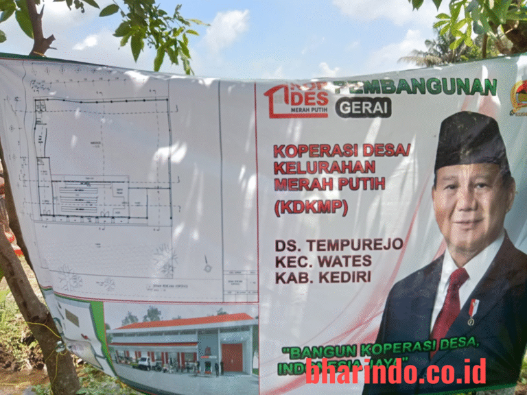 WhatsApp Image 2026-01-30 at 12.35.59 (1)