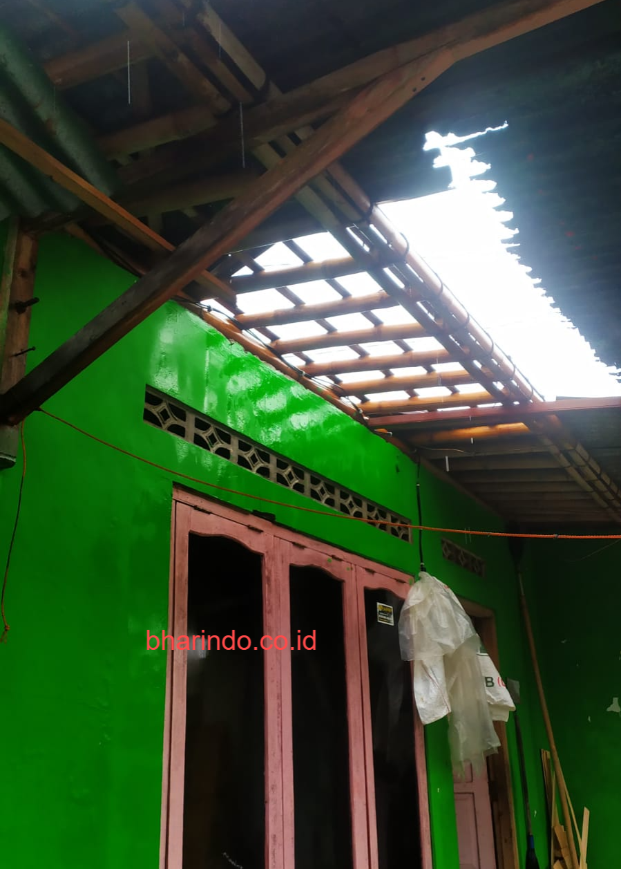 WhatsApp Image 2026-02-01 at 00.56.33