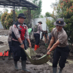 dbf74c71-1935-4794-b074-fe63c3d94b12_720661