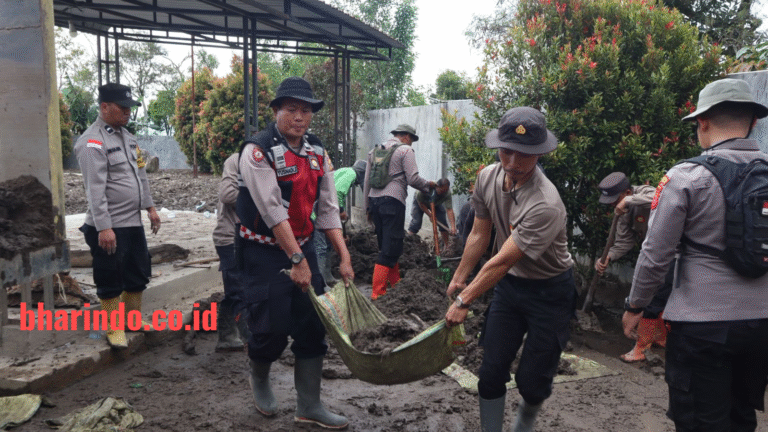 dbf74c71-1935-4794-b074-fe63c3d94b12_720661