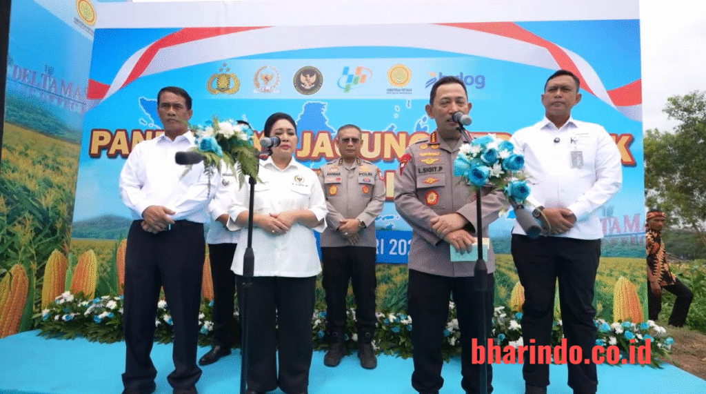 image - 2026-01-08T210815.394