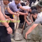 image - 2026-01-10T081233.857 (1)