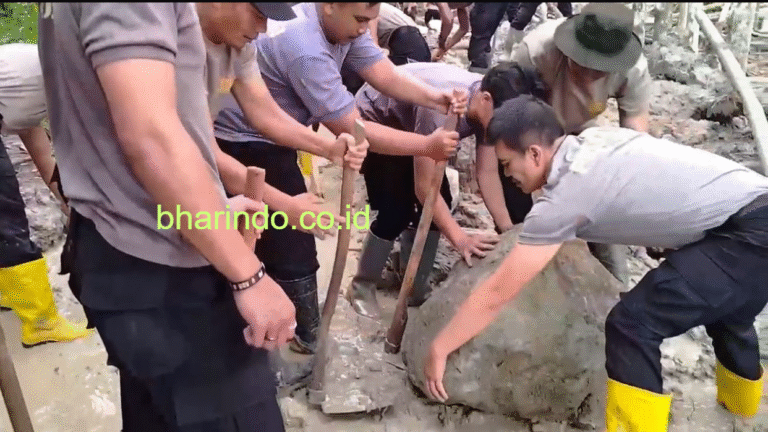 image - 2026-01-10T081233.857 (1)