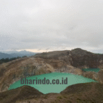 image - 2026-01-15T115620.116