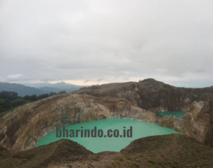 image - 2026-01-15T115620.116