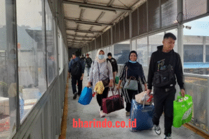 image - 2026-01-20T214801.217