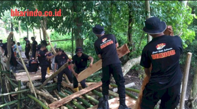 05aab6ad-ad48-453c-a033-8a2c8c485313_922971