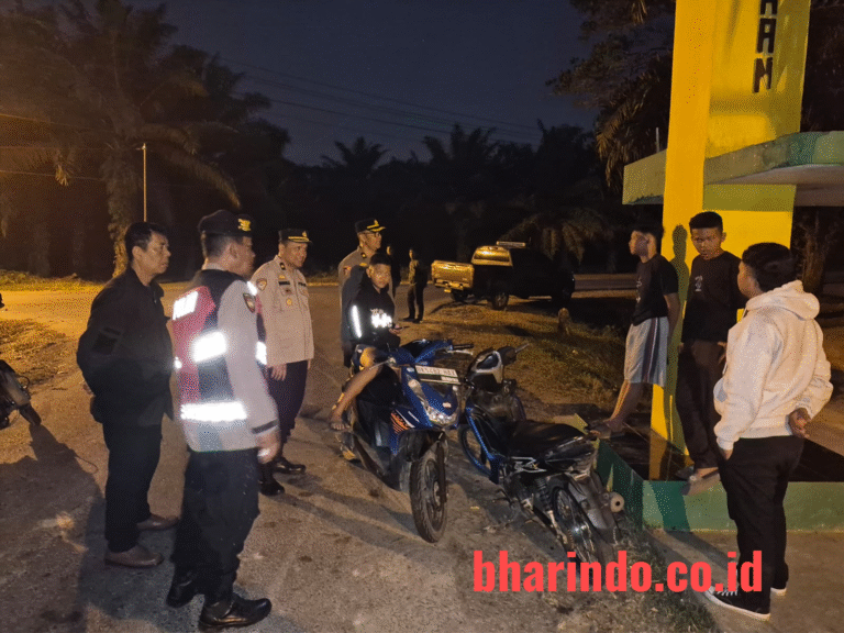 WhatsApp Image 2026-02-01 at 19.21.18