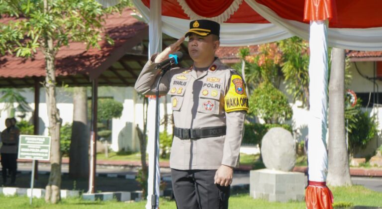 WhatsApp Image 2026-02-02 at 17.33.58