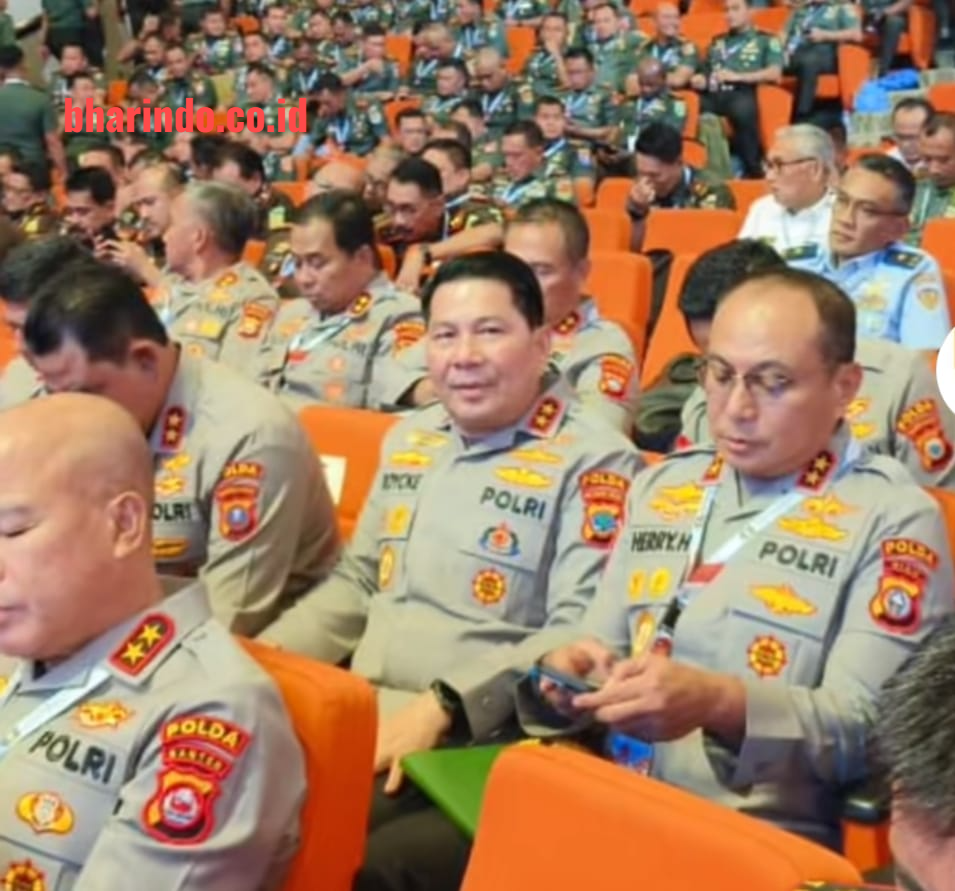 WhatsApp Image 2026-02-03 at 14.46.50