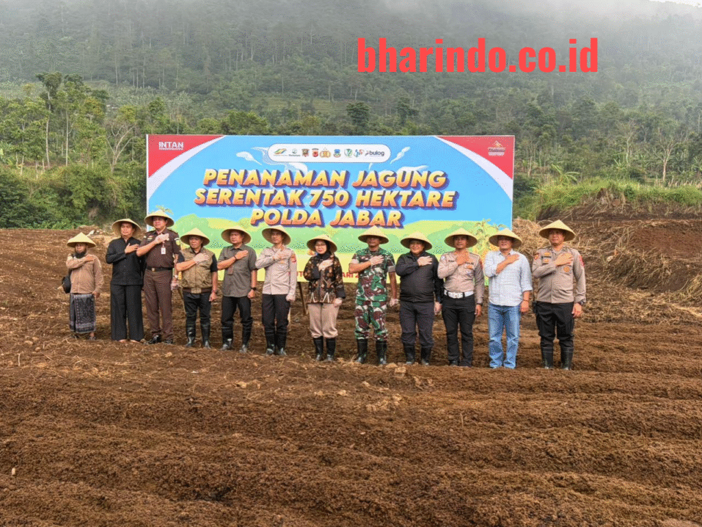 WhatsApp Image 2026-02-07 at 18.32.11