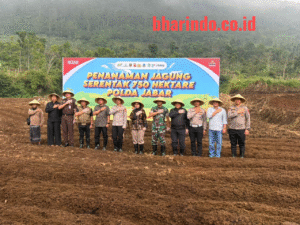 WhatsApp Image 2026-02-07 at 18.32.11