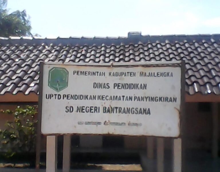 WhatsApp Image 2026-02-11 at 21.55.00