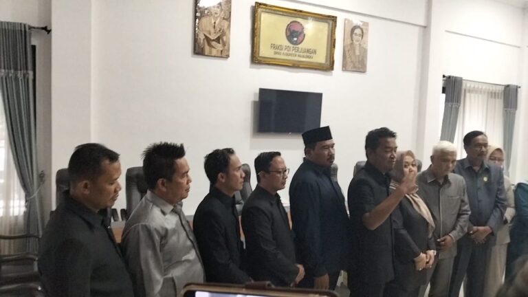 WhatsApp Image 2026-02-11 at 22.31.34