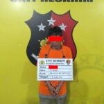 WhatsApp Image 2026-02-12 at 08.55.59