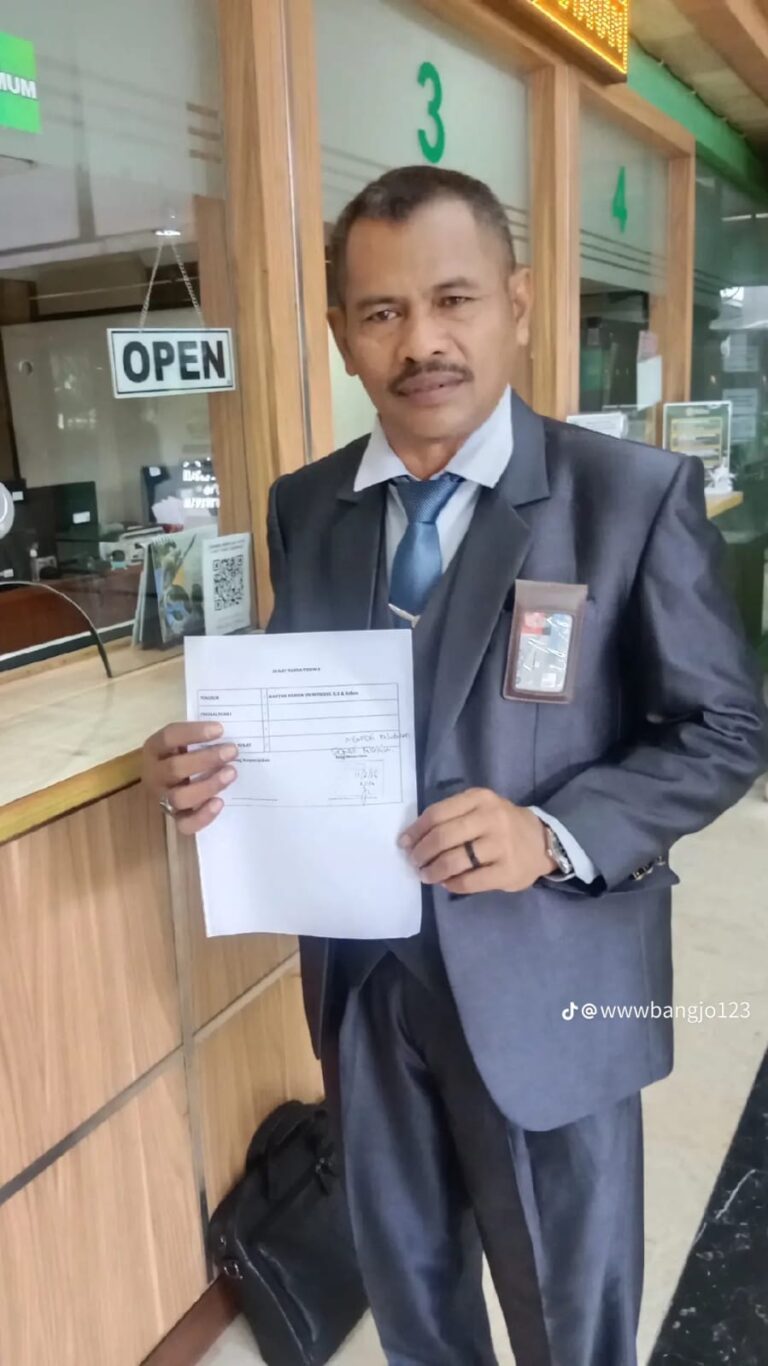 WhatsApp Image 2026-02-12 at 16.13.22