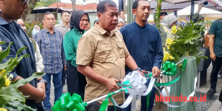 WhatsApp Image 2026-02-13 at 15.56.50