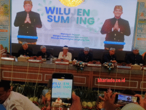 WhatsApp Image 2026-02-13 at 15.58.09