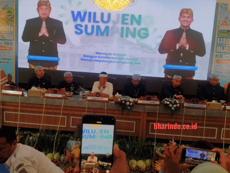 WhatsApp Image 2026-02-13 at 15.58.09