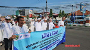 WhatsApp Image 2026-02-13 at 17.08.44