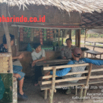 WhatsApp Image 2026-02-16 at 01.06.01