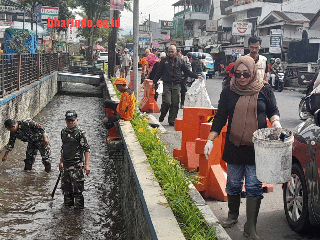 WhatsApp Image 2026-02-18 at 15.08.07