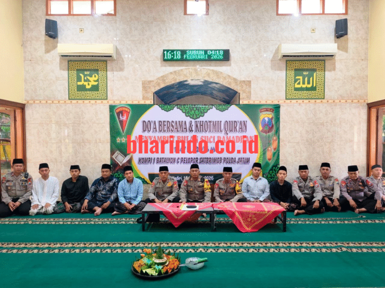 WhatsApp Image 2026-02-19 at 12.43.17 (1)