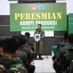 WhatsApp Image 2026-02-19 at 15.02.33