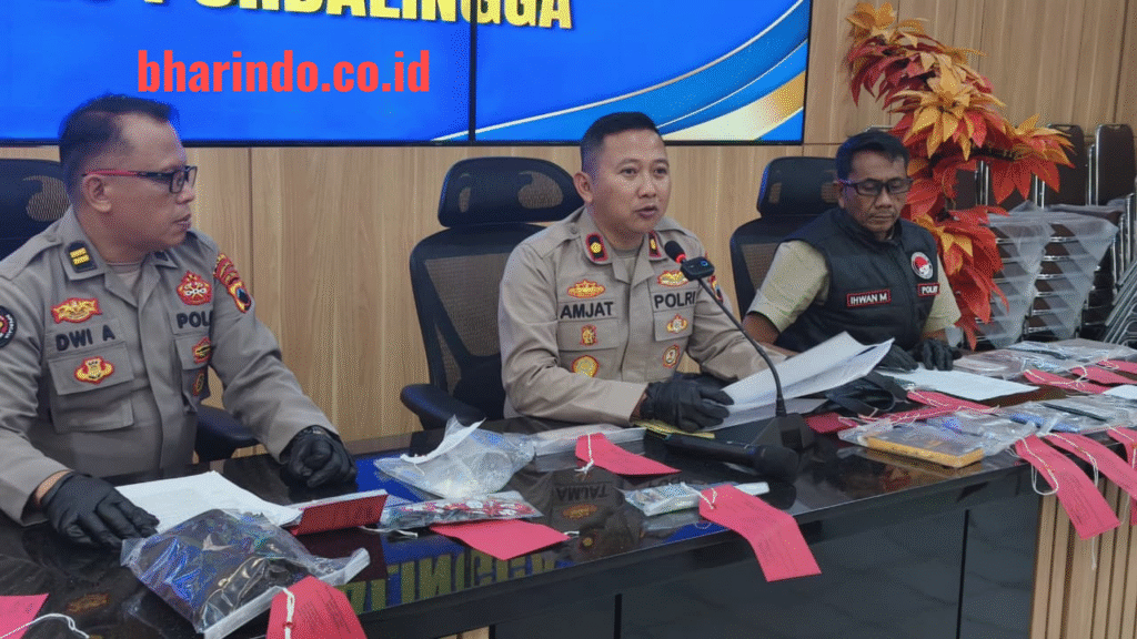 WhatsApp Image 2026-02-20 at 15.47.34