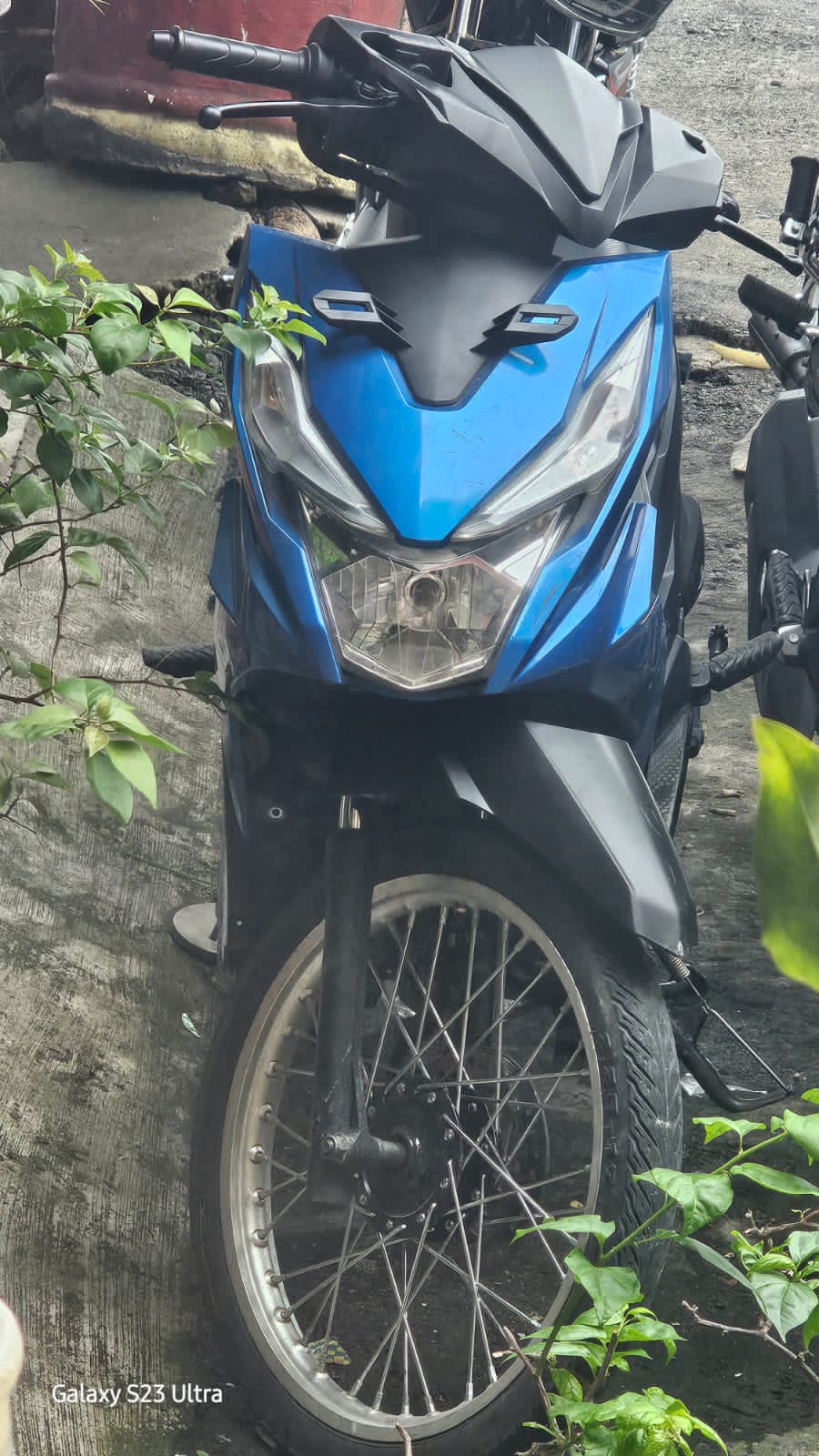 WhatsApp Image 2026-02-20 at 22.15.56