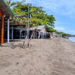 WhatsApp Image 2026-02-21 at 11.25.10