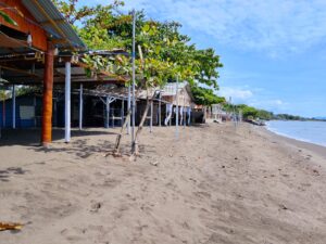 WhatsApp Image 2026-02-21 at 11.25.10