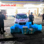 WhatsApp Image 2026-02-22 at 20.15.29