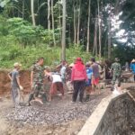 WhatsApp Image 2026-02-24 at 11.28.04