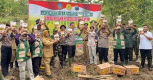 WhatsApp Image 2026-02-25 at 07.13.19