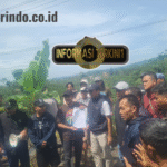 WhatsApp Image 2026-02-28 at 14.46.54