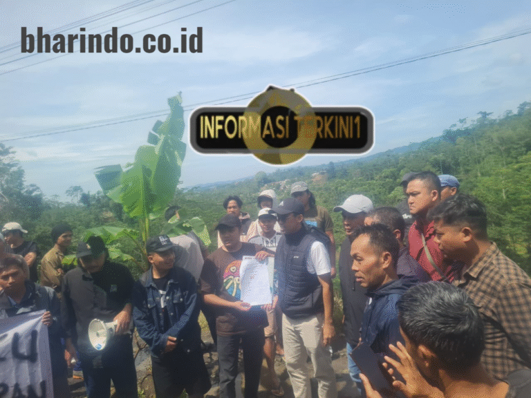 WhatsApp Image 2026-02-28 at 14.46.54