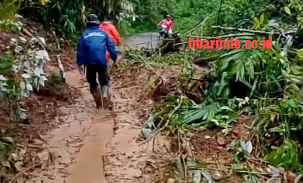 a0ba3a45-cb2e-4115-acd9-c9e23a9db0dd