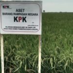 51f9b5a3-7c32-4e95-81f7-2d0a3cfeabee