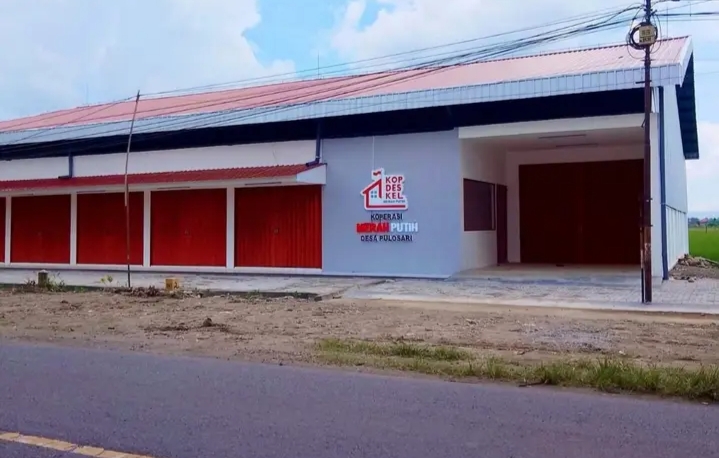 WhatsApp Image 2026-03-06 at 12.34.13