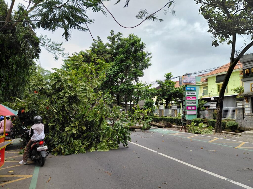 WhatsApp Image 2026-03-08 at 17.31.00