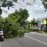 WhatsApp Image 2026-03-08 at 17.31.00