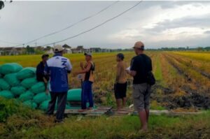 WhatsApp Image 2026-03-11 at 12.53.30