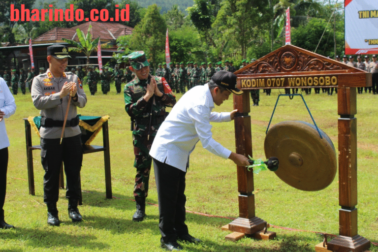 WhatsApp Image 2026-03-11 at 13.01.41