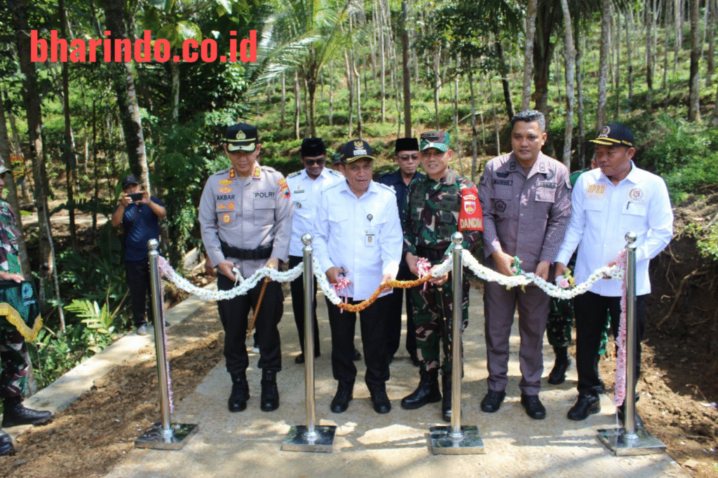 WhatsApp Image 2026-03-11 at 16.46.36