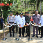 WhatsApp Image 2026-03-11 at 16.46.36